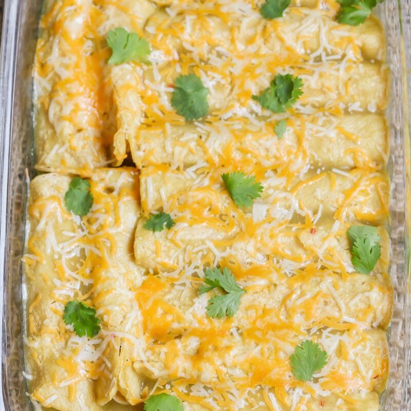 green chicken enchiladas